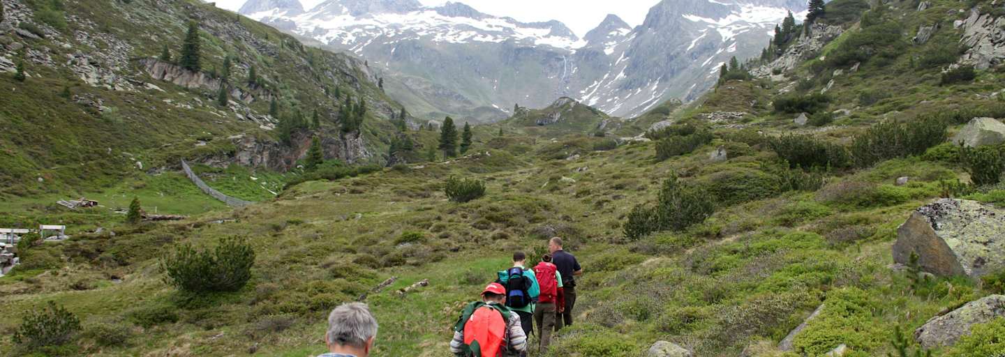 Bergwaldprojekts Schwarzensteinkees  