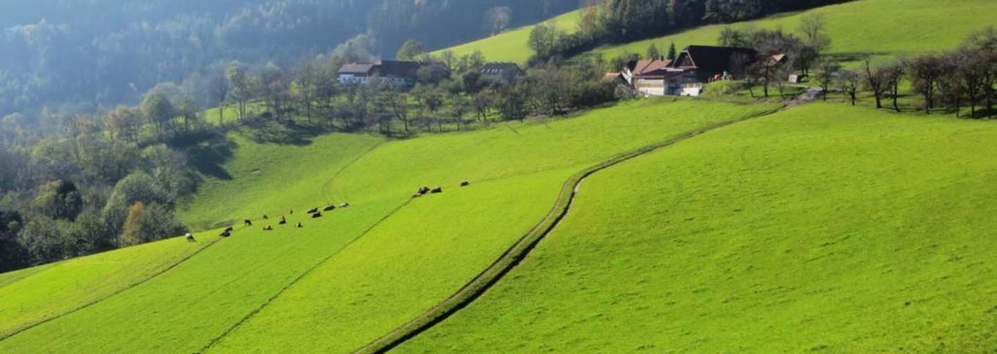 Grimmenstein-Wanderung
