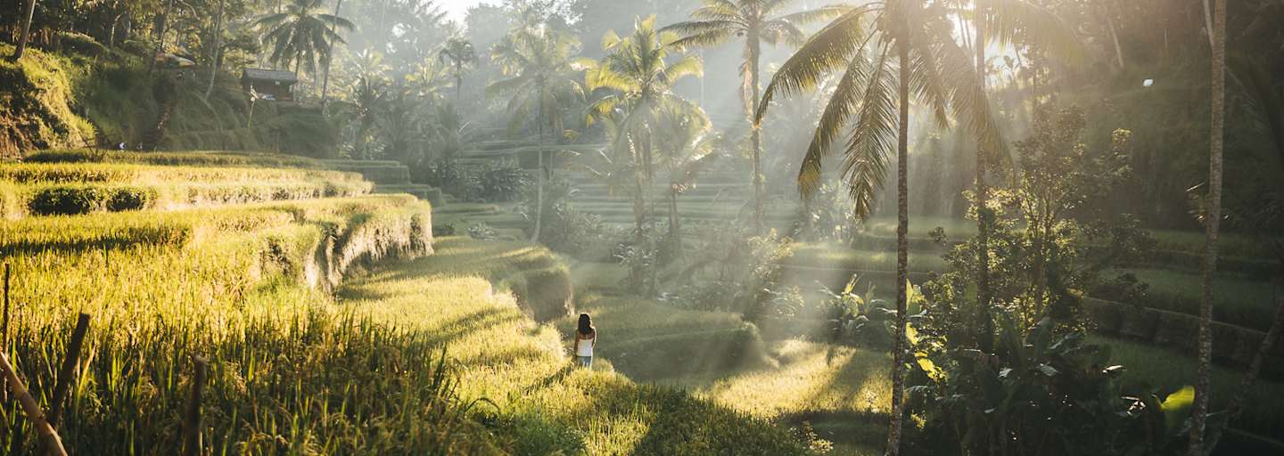 Tropen-Idylle in Indonesien