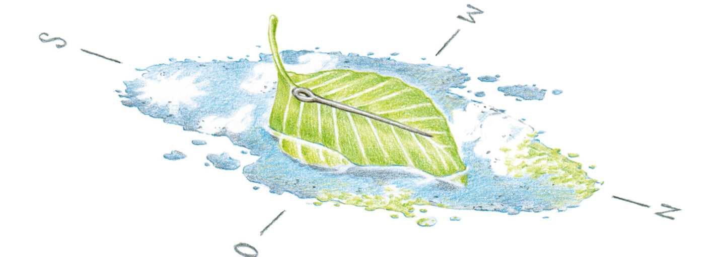 Schwimmender Kompass