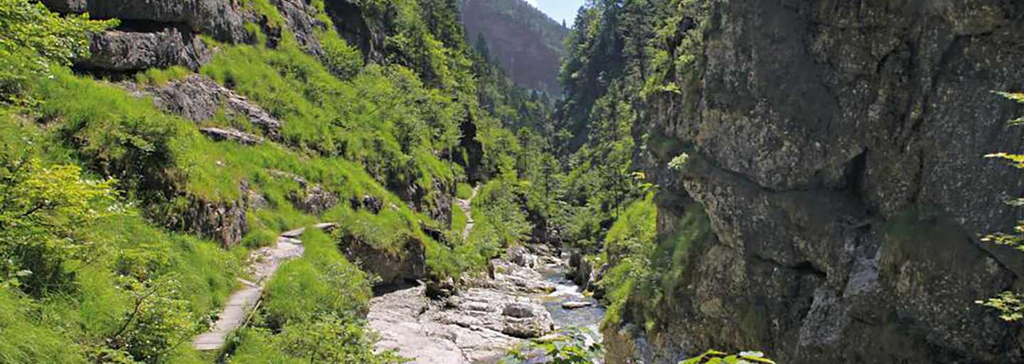 In den Chiemgauer Alpen erwartet dich die familienfreundliche Wanderung durch die Weißbachschlucht.
