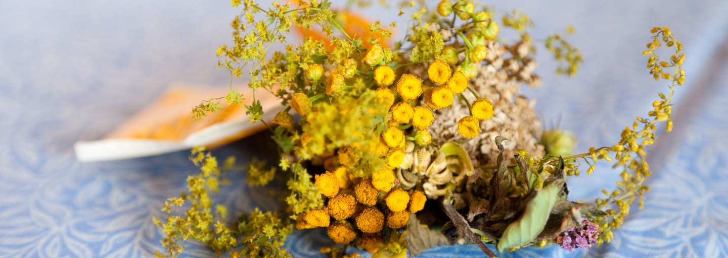 Kräuter konservieren