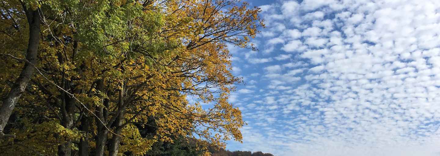 Bunte Wanderungen für den Herbst