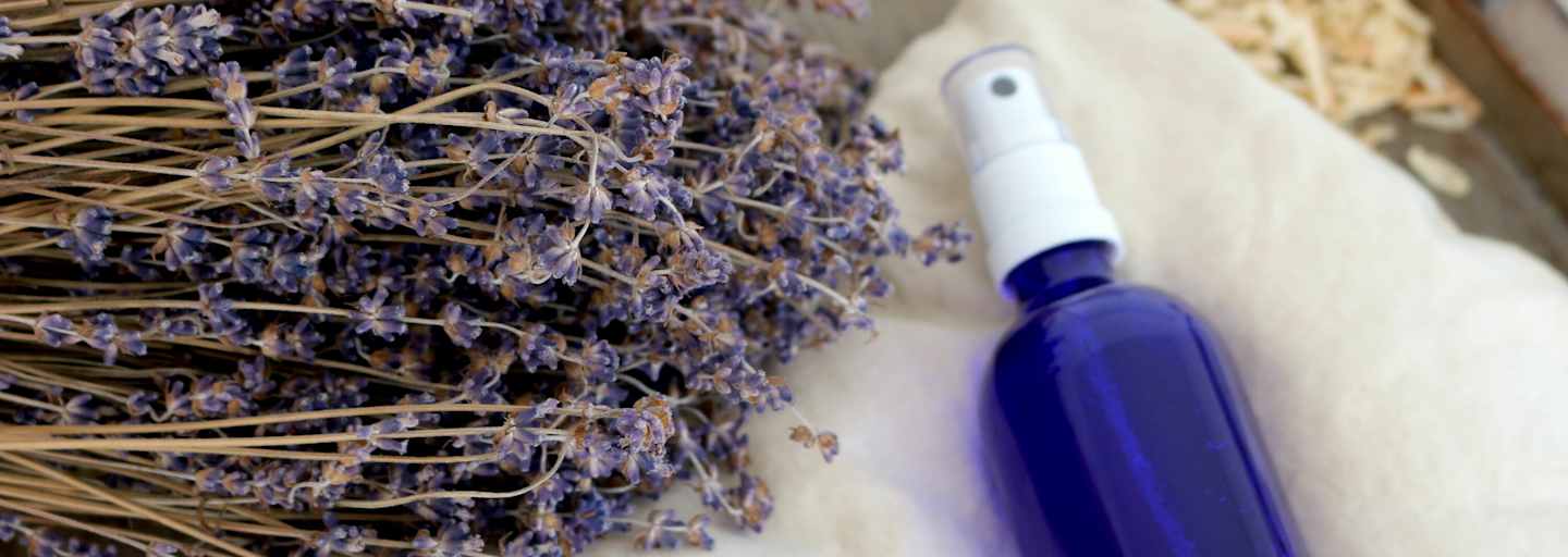 Lavendelöl mit firschem Lavendel
