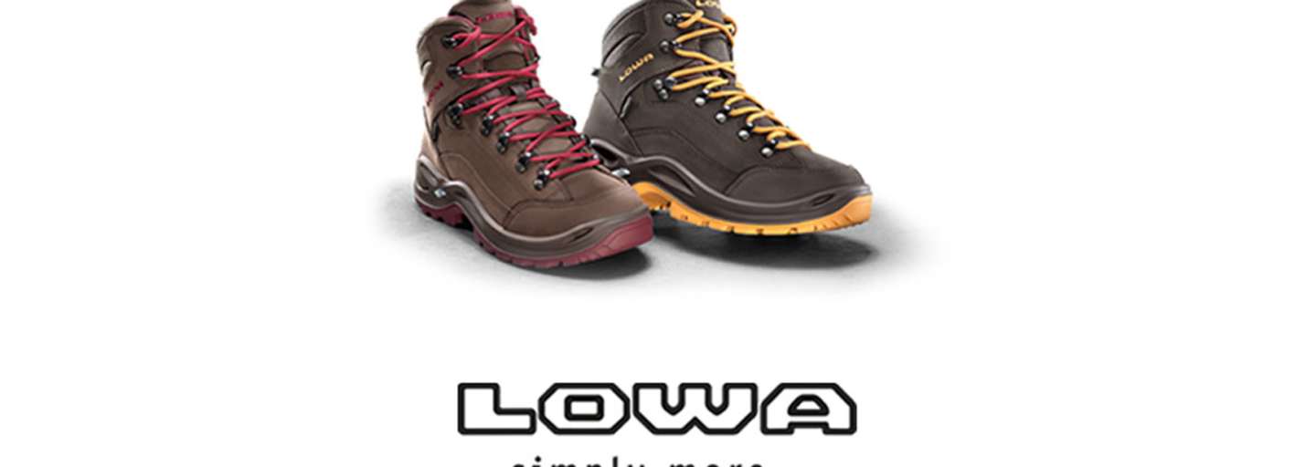 Lowa - Renegade GTX Mid