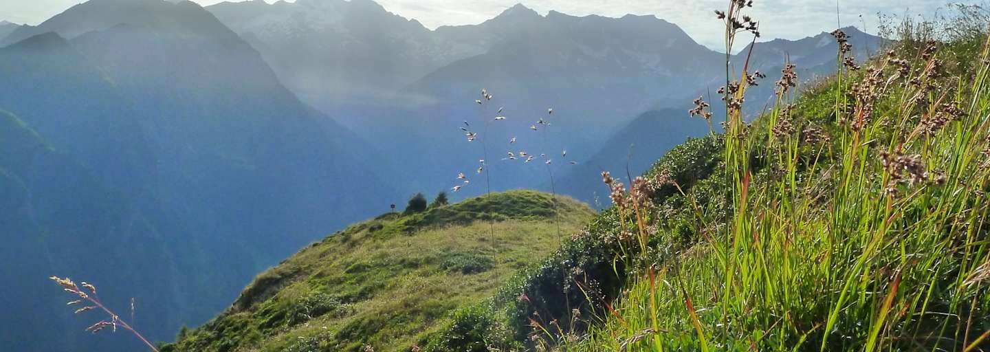 Morgenstimmung am Berg