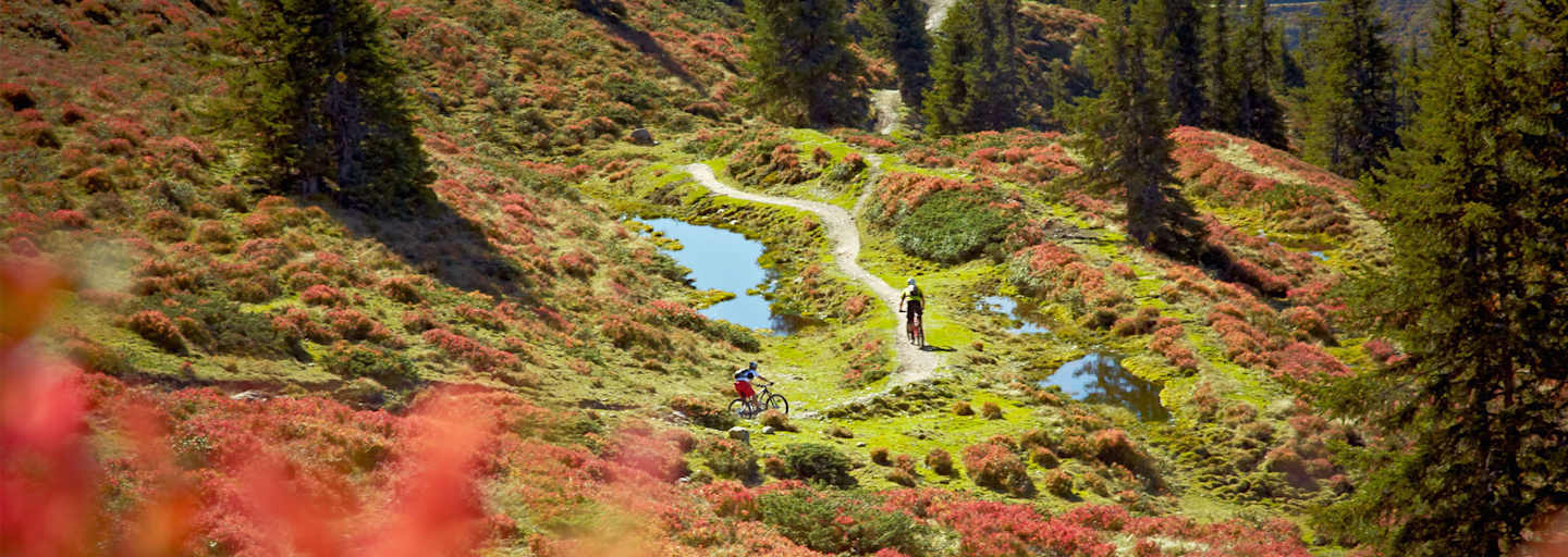 Hacklberg Trail mit dem Mountainbike