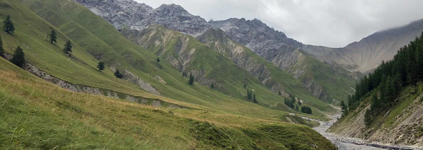 Schweizerischer Nationalpark