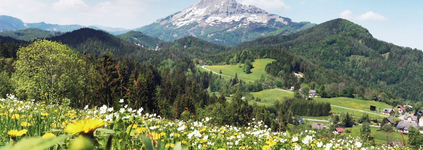 Der Ötscher im Frühling