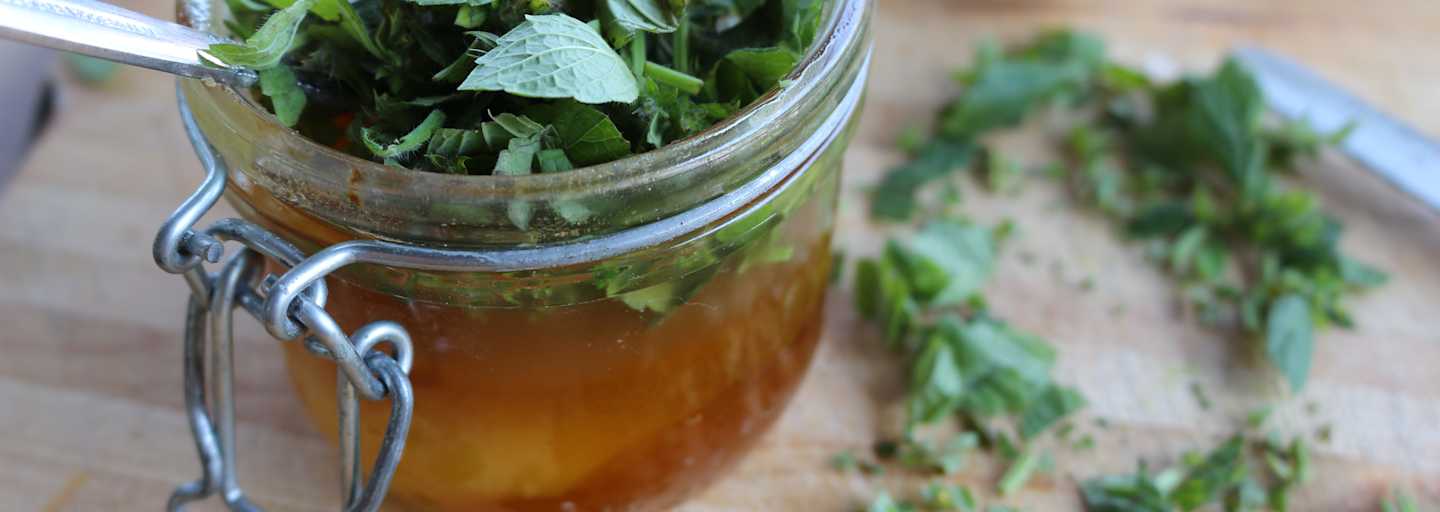 Kräuter Oxymel angerichtet mit Kräutern