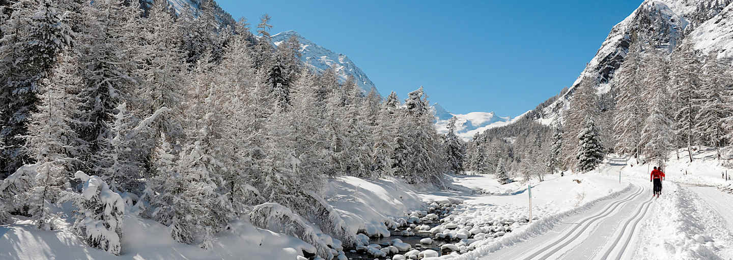 Langlaufen in Pontresina