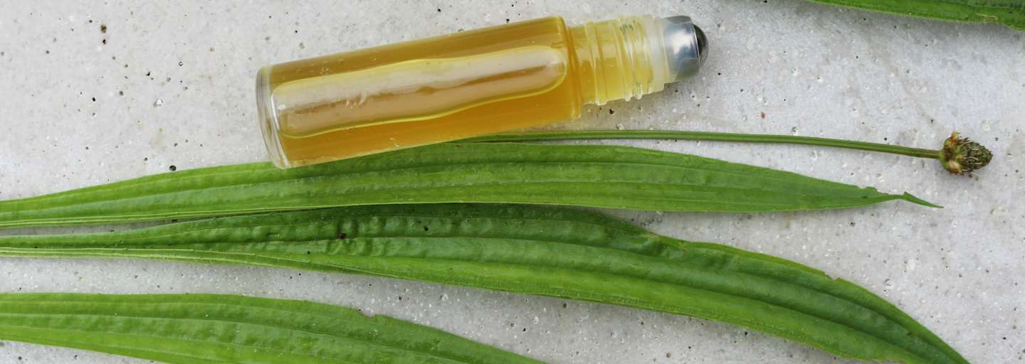 Roll-On mit Spitzwegerich