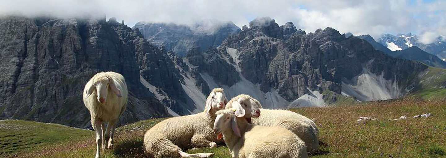 Die Saile ist ein janusköpfiges „Bergwahrzeichen“ zwischen Innsbruck und dem Stubai.