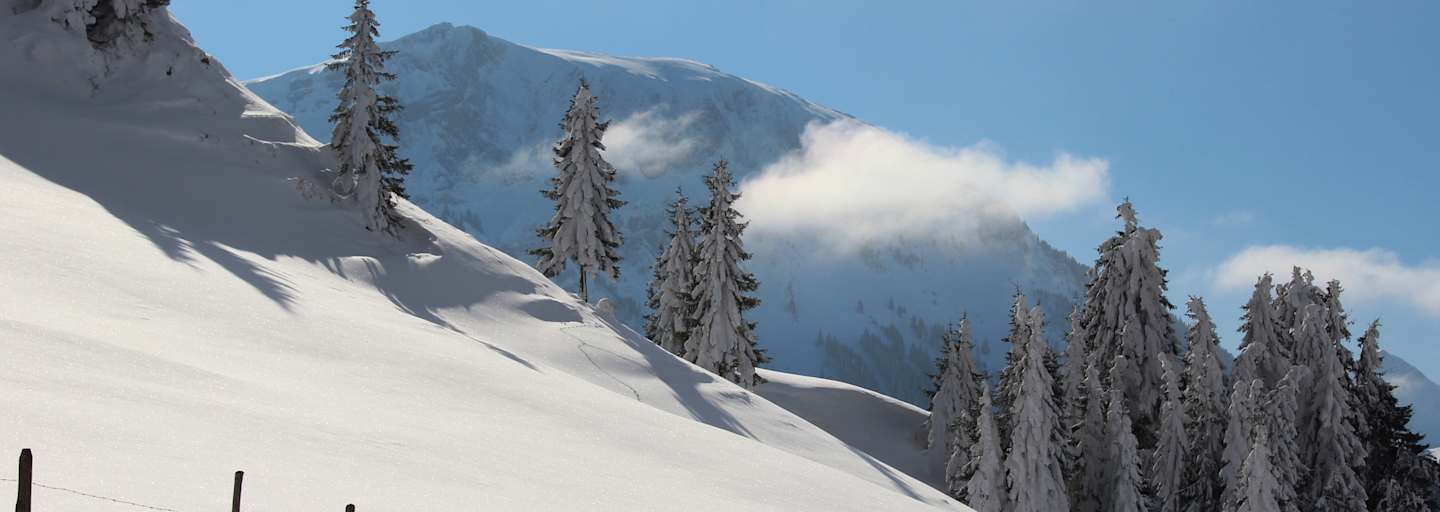 Mit Schneeschuhen durch den Winter