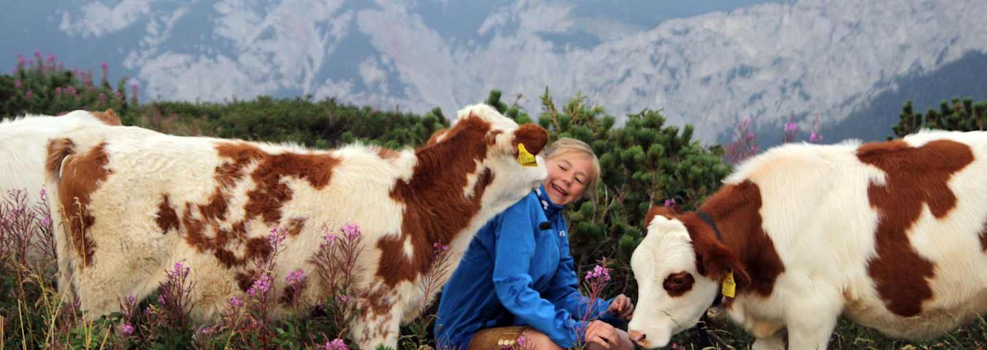 Mathias Kautzky Auf der Alm 
