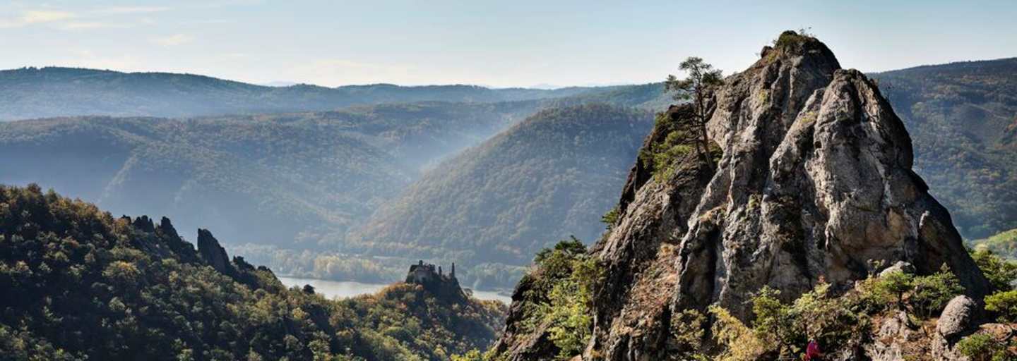 Vogelbergsteig Wachau