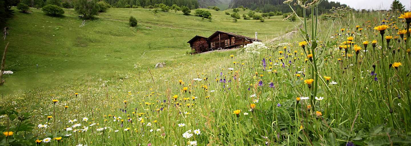 Wallis Galmihornhütte 