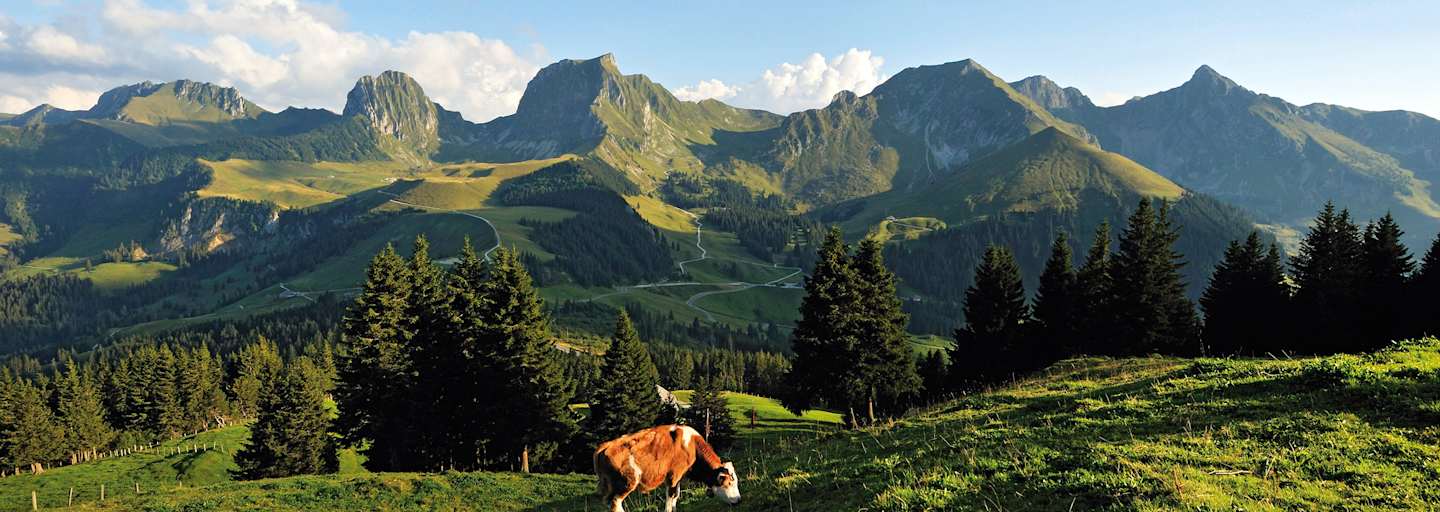 Schweiz Naturpark Gantrisch im Kanton Bern