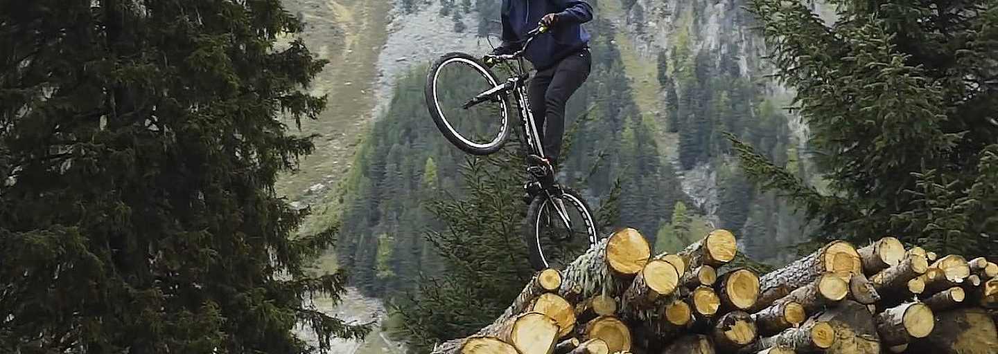 Sehnsuchtsort Wald: 8 Wanderungen