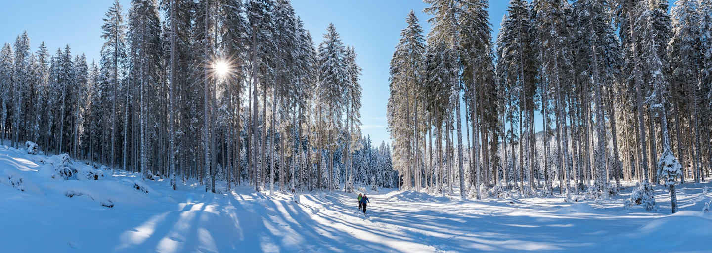 Winterwandern vor schönster Kulisse