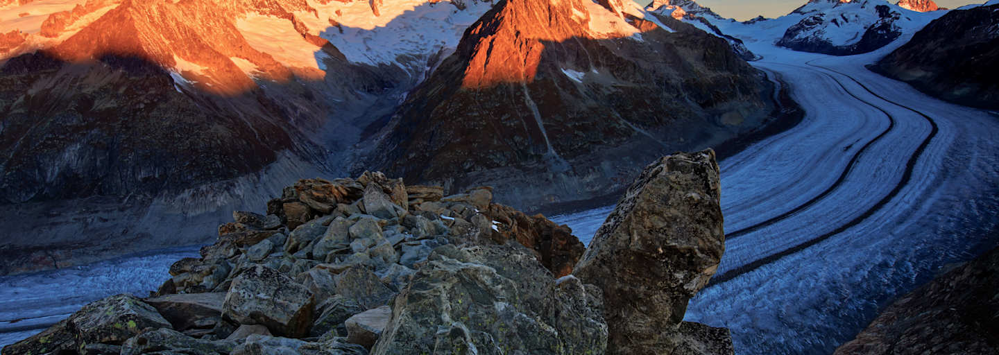 Berner Alpen: Aletschgletscher mit Aletschhorn
