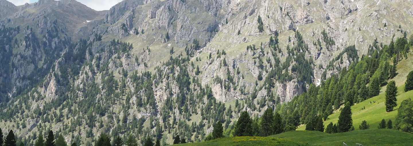Der Aufstieg zum Zendler Kofel beginnt gemütlich...