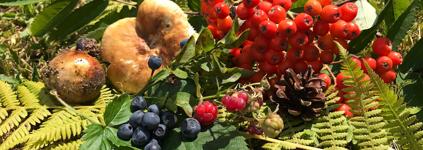 Beerenvielfalt