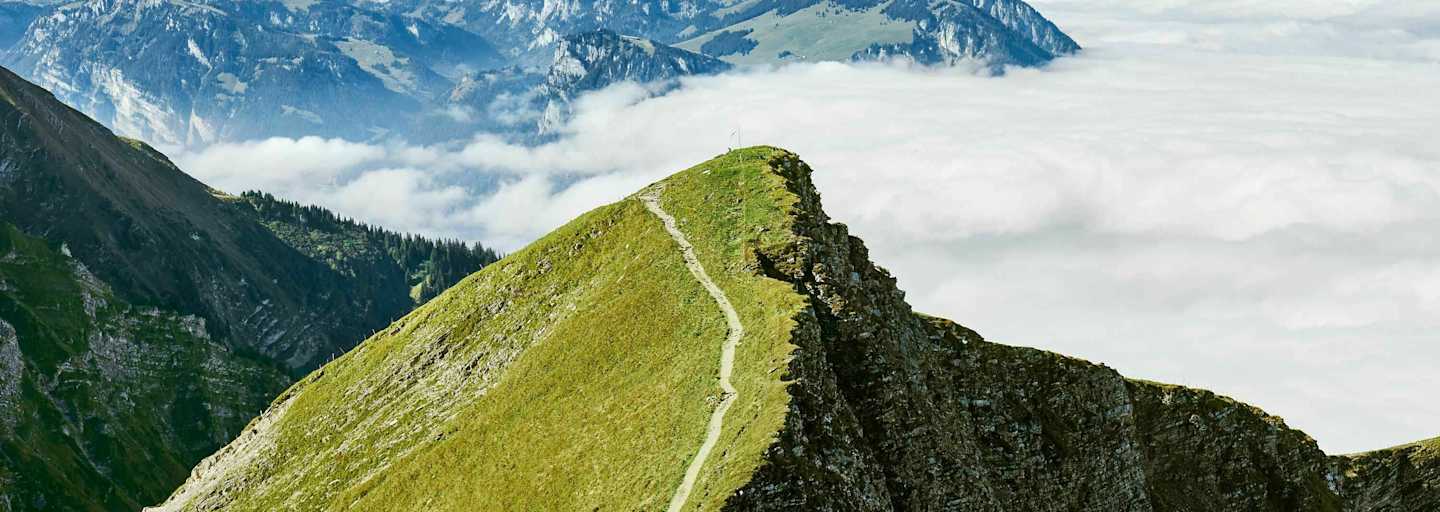Wandern Niesen Schweiz Bergwelten