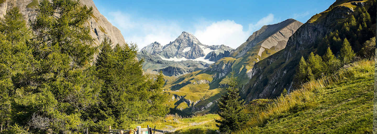 Bergwelten Großglockner Besteigung Wanderung