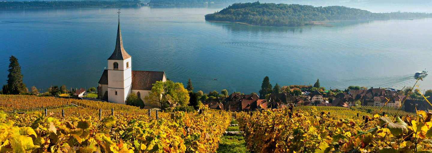 Rebberge am Bielersee im Kanton Bern: Blick auf den See mit der St. Petersinsel