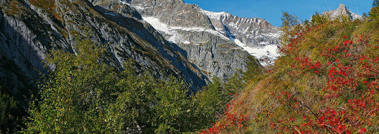 Höhenwege im Wallis: Wandern in der Bietschhorngruppe