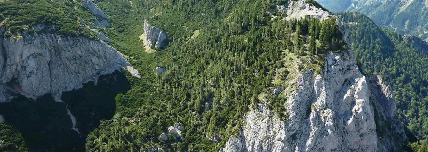 Bergtour: Auf der ruhigen Seite der Rax