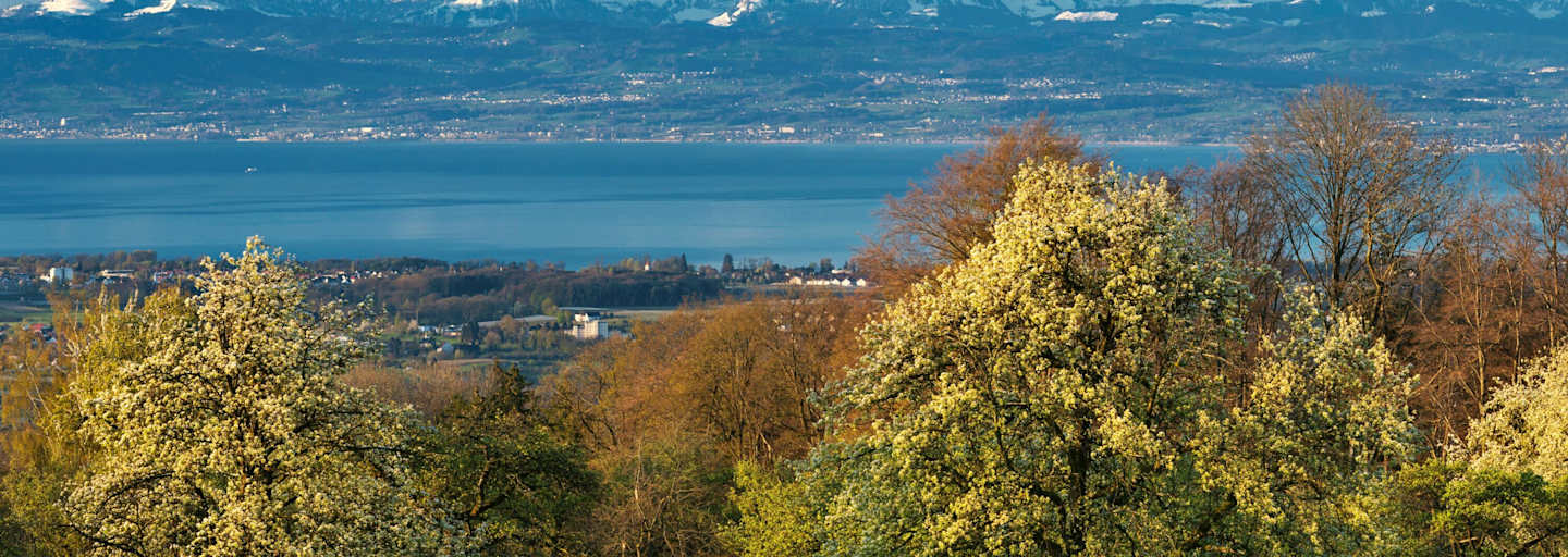 Konstanz in Baden-Württemberg: Bodensee mit Schweizer Alpen