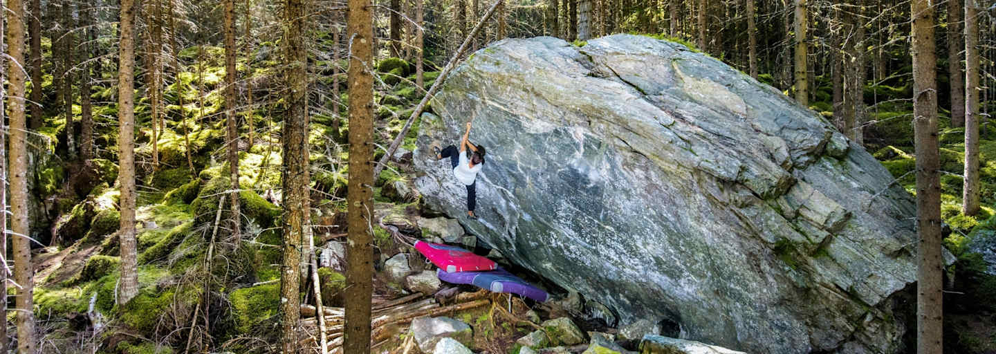 Große Gesteinsbrocken mitten im Wald.