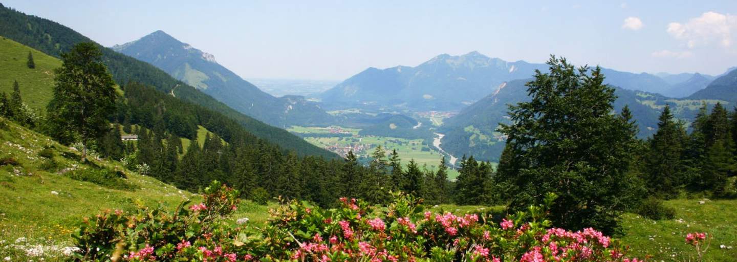 Wandern in den Chiemgauer Alpen: Auf den Breitenstein in Bayern