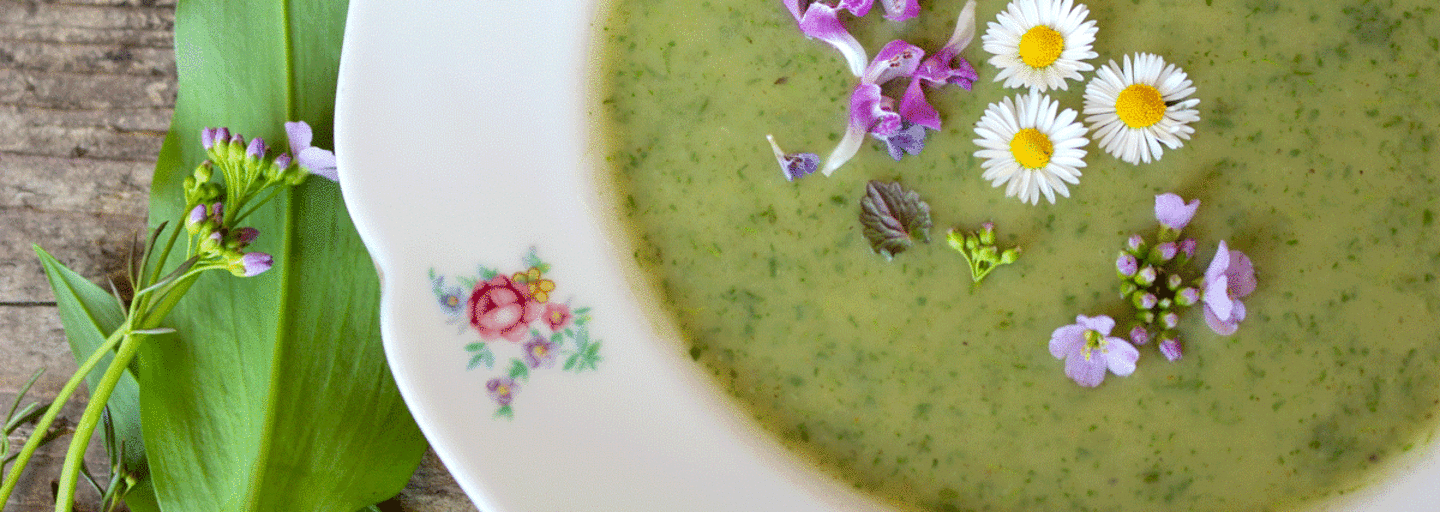 Brennnessel Suppe mit essbaren Blüten