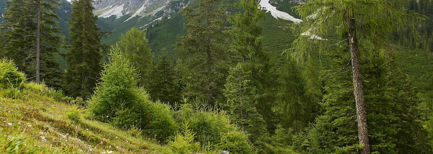 Wer viel in den Bergen unterwegs ist, der sollte gut mit seiner Ausrüstung vertraut sein