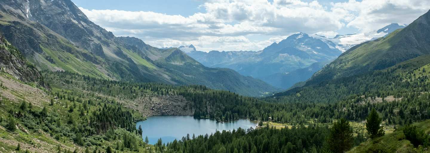 Val da Camp, Berninatrek