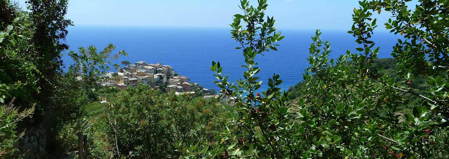 Cinque Terre - Wandern in Ligurien