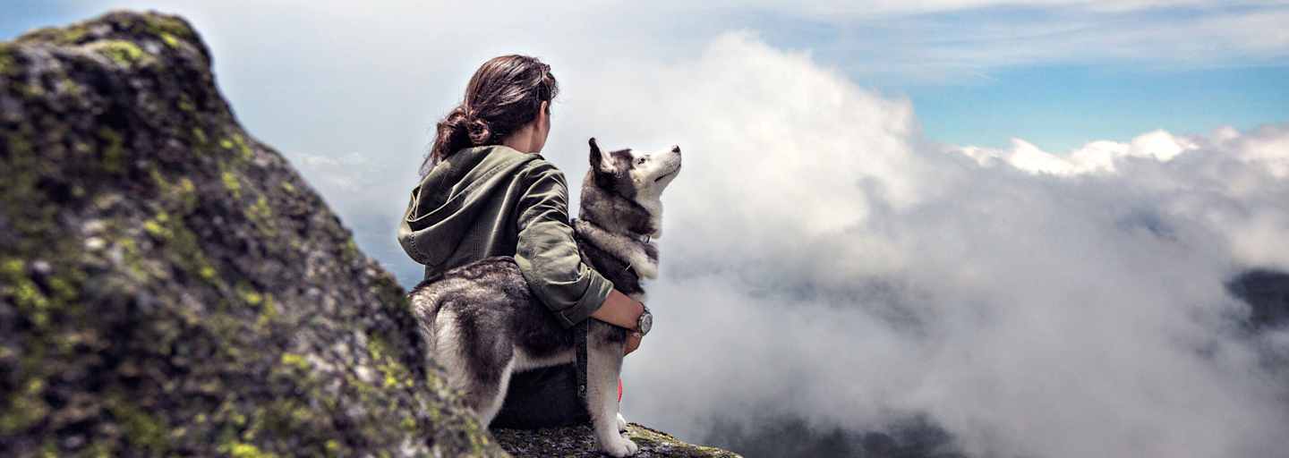 Husky mit Mensch auf Berggipfel 
