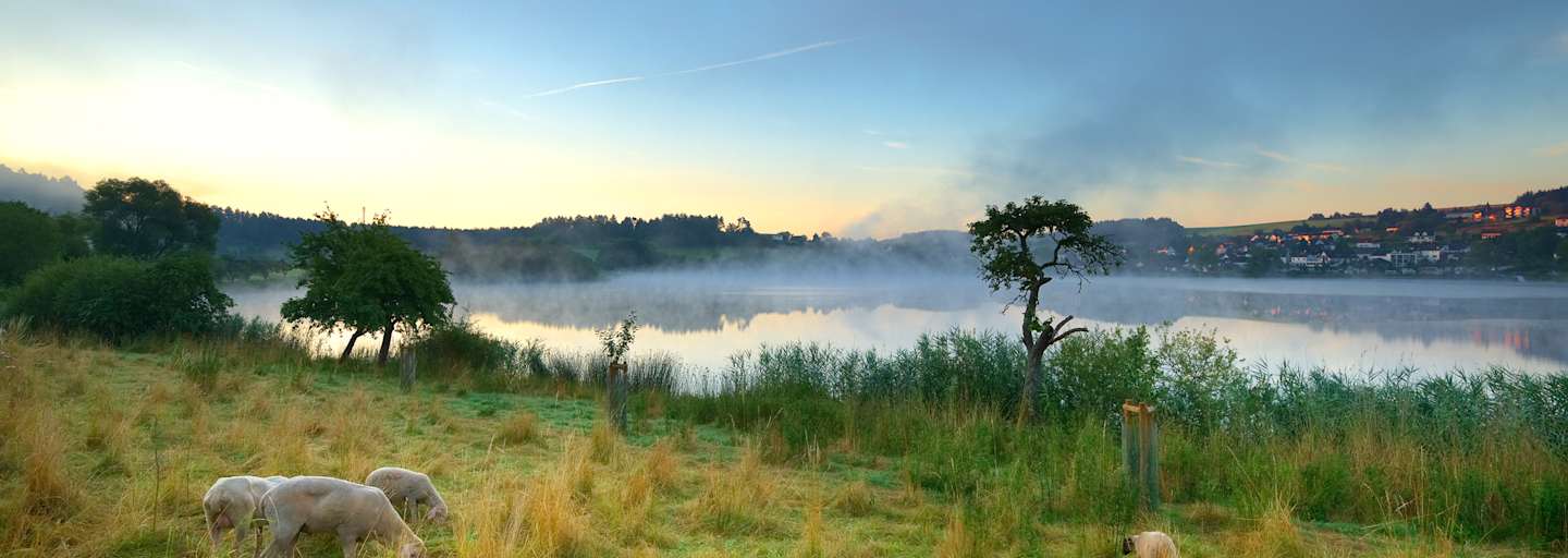 Wandern am Eifelsteig