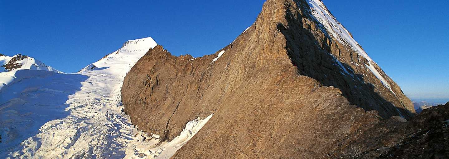 Mittellegigrat: Eiger in den Berner Alpen