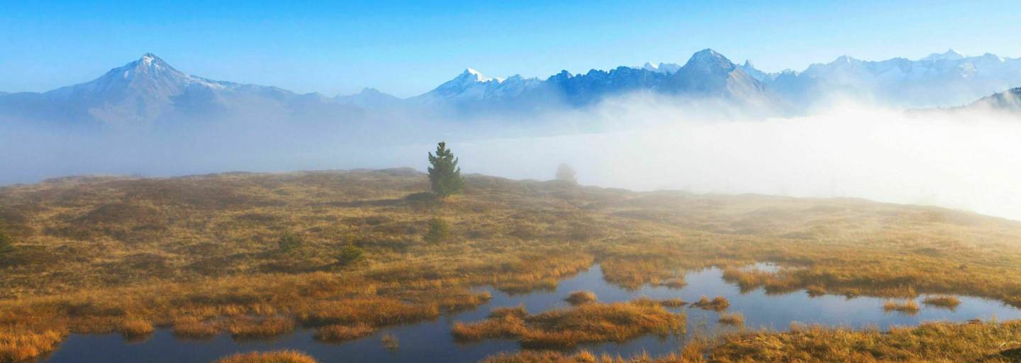 Welttag der Feuchtgebiete: Hochmoor in Tirol