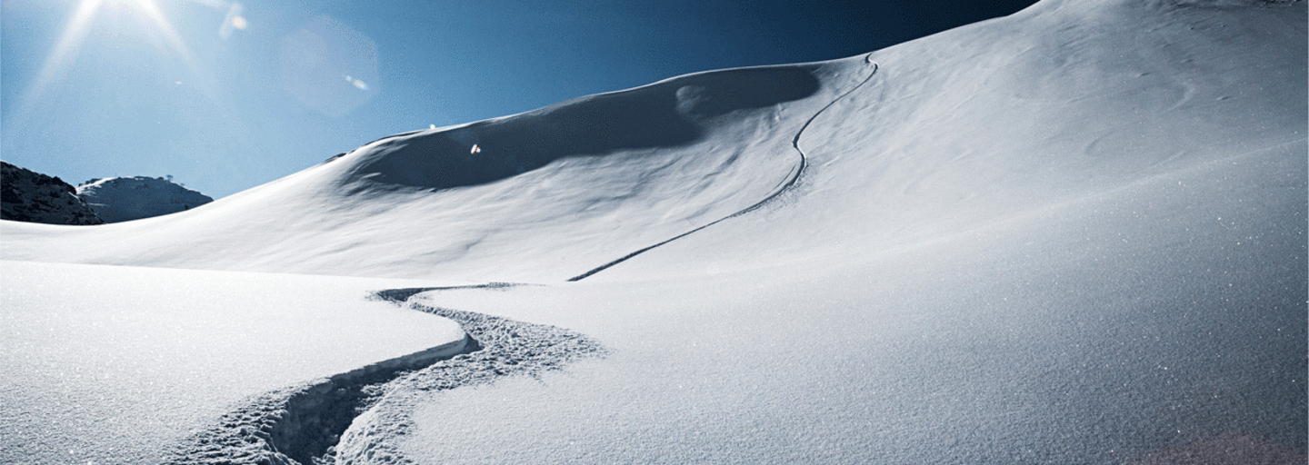 „Die Tischdame der radikalen Freiheit heißt Risiko“