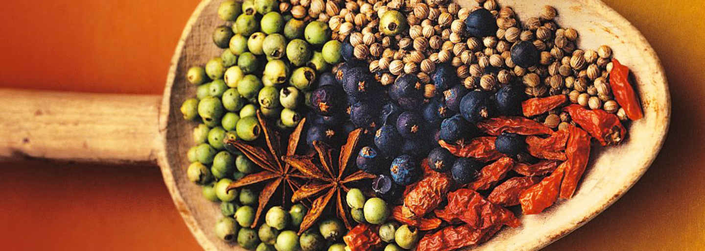 Gewürzschaufel: Kräuter und Gewürze für den Winter