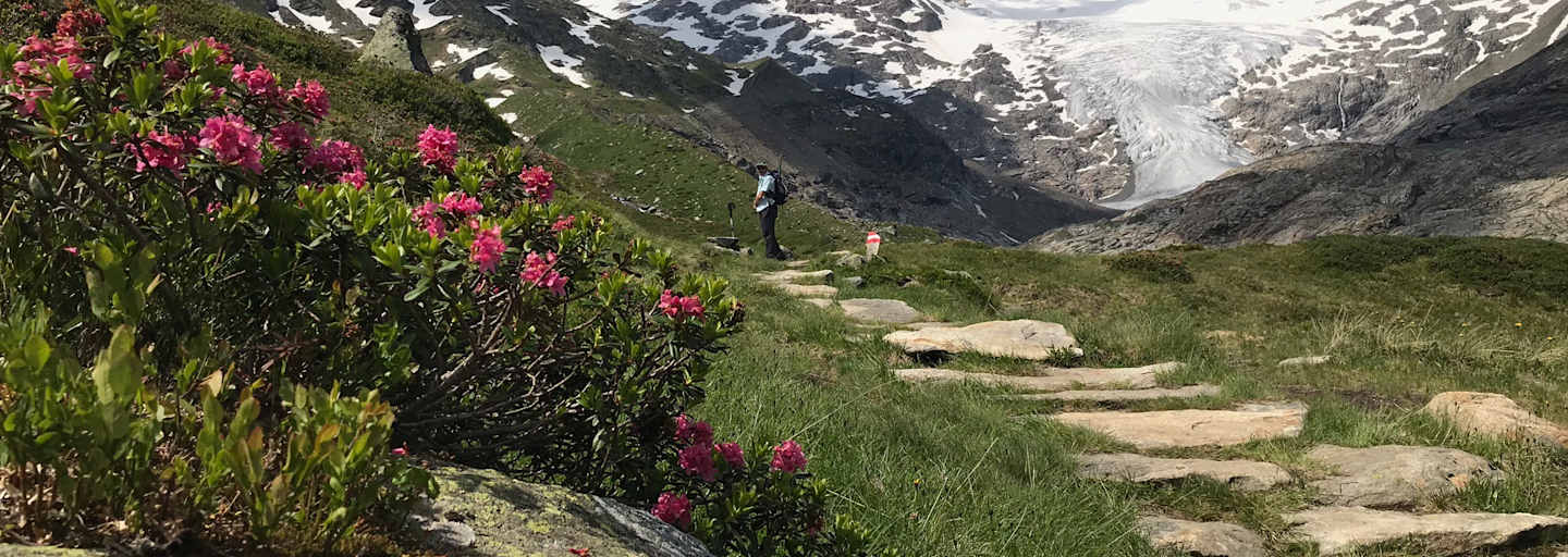 Innergschlöss mit Blick auf den Großvenediger