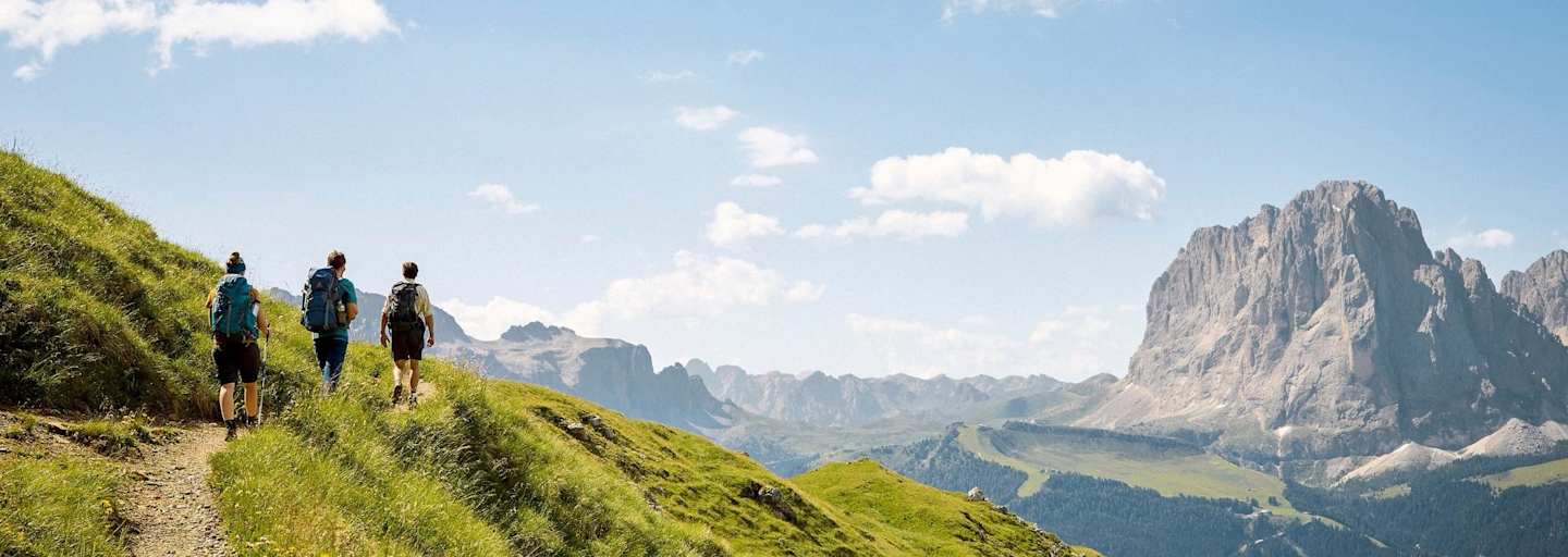 Blick auf markante Felsformationen und saftige Almböden