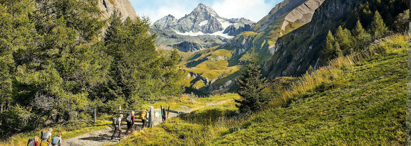 Wanderung im Grünen in Richtung Groß Glockner