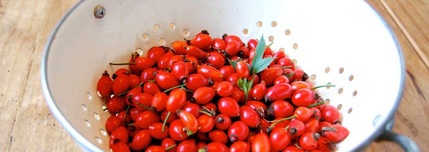 Selbstgemacht: Hagebutten-Ketchup