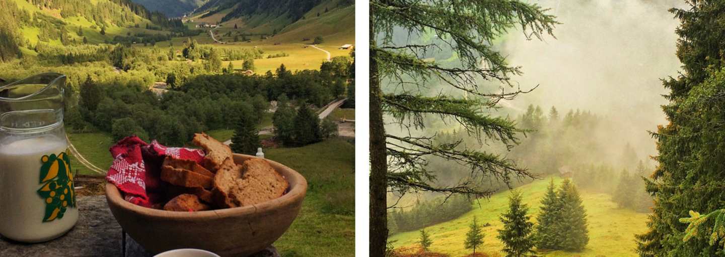 Die Schule der Alm: Helgas Alm auf der Nockeralm im Valsertal 